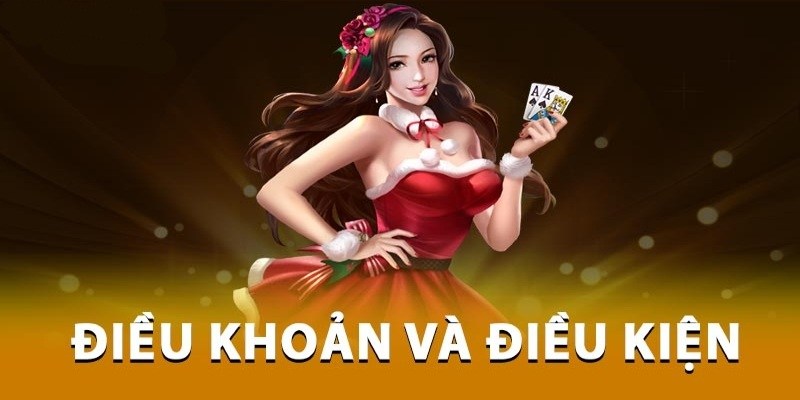 điều khoản và điều kiện