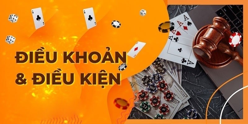 điều khoản và điều kiện